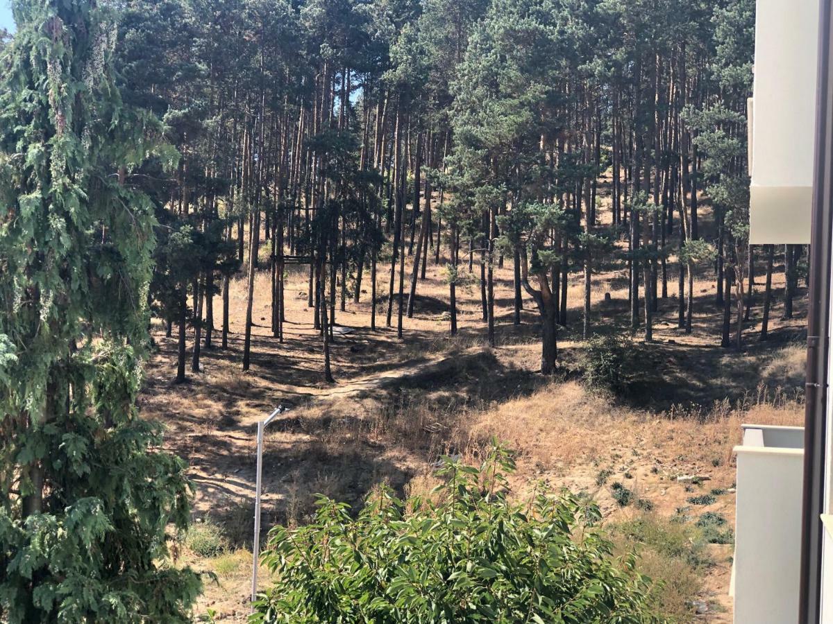 Borov Park 3 Apartamento Velingrad Exterior foto